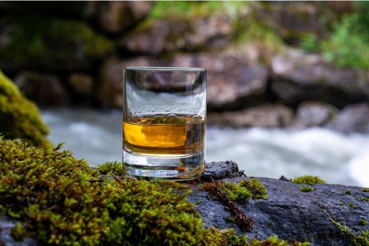 Whisky z Lowland – co musisz wiedzieć?