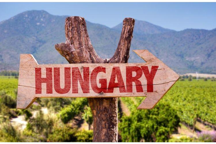 Przewodnik po winach węgierskich – co warto wybrać?
