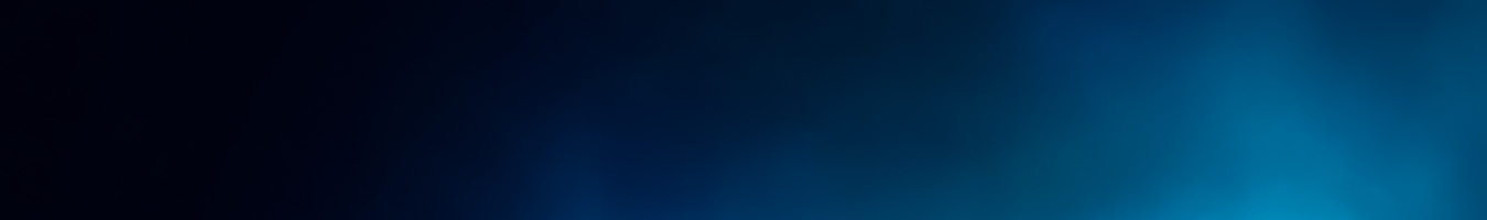 Wybrane whisky premium - 10%