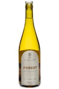 "Forest", Dolina Samy Winnica Jankowice