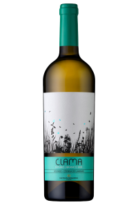 Calma Douro Branco, Mateus & Sequeira Vinhos