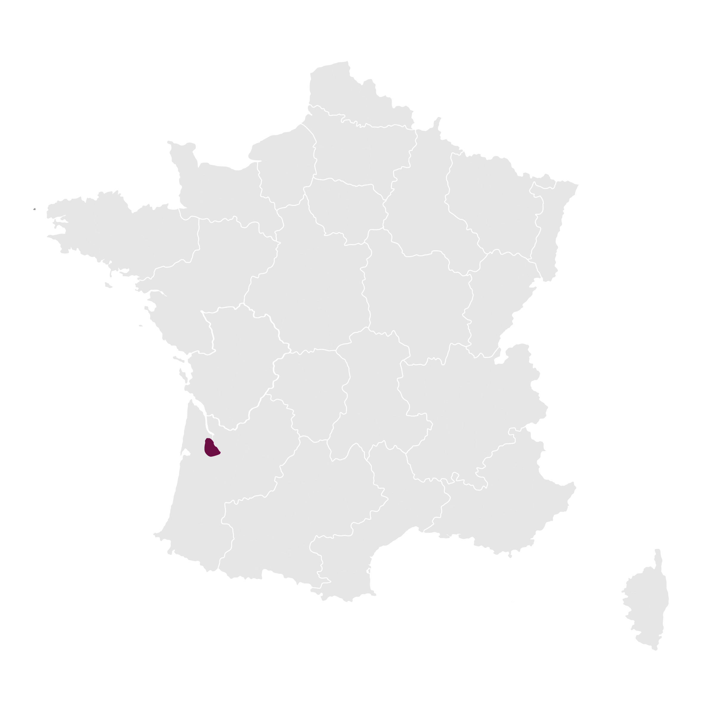 Francja_Pessac-Léognan Francja_Pessac-Léognan