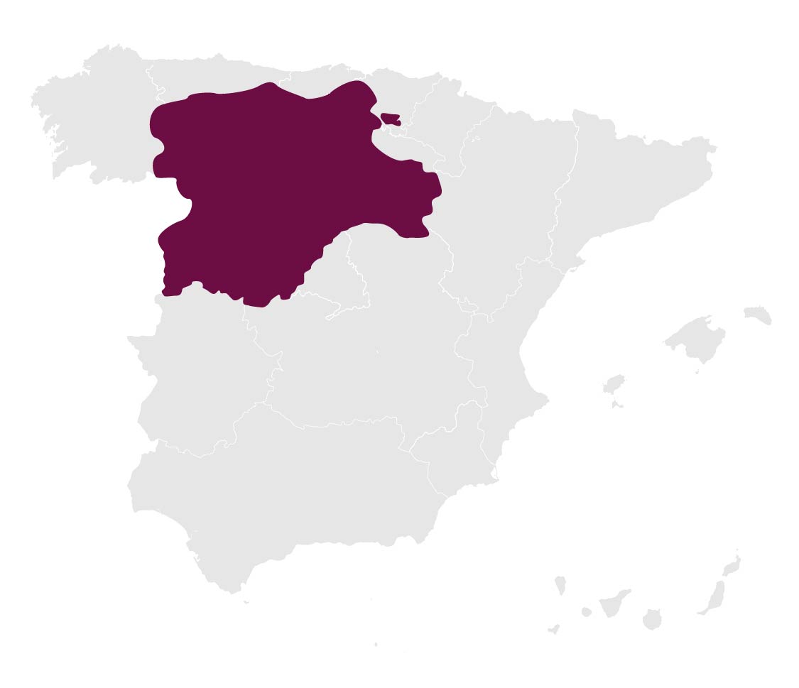 Hiszpania__Castilla y Léon Hiszpania__Castilla y Léon