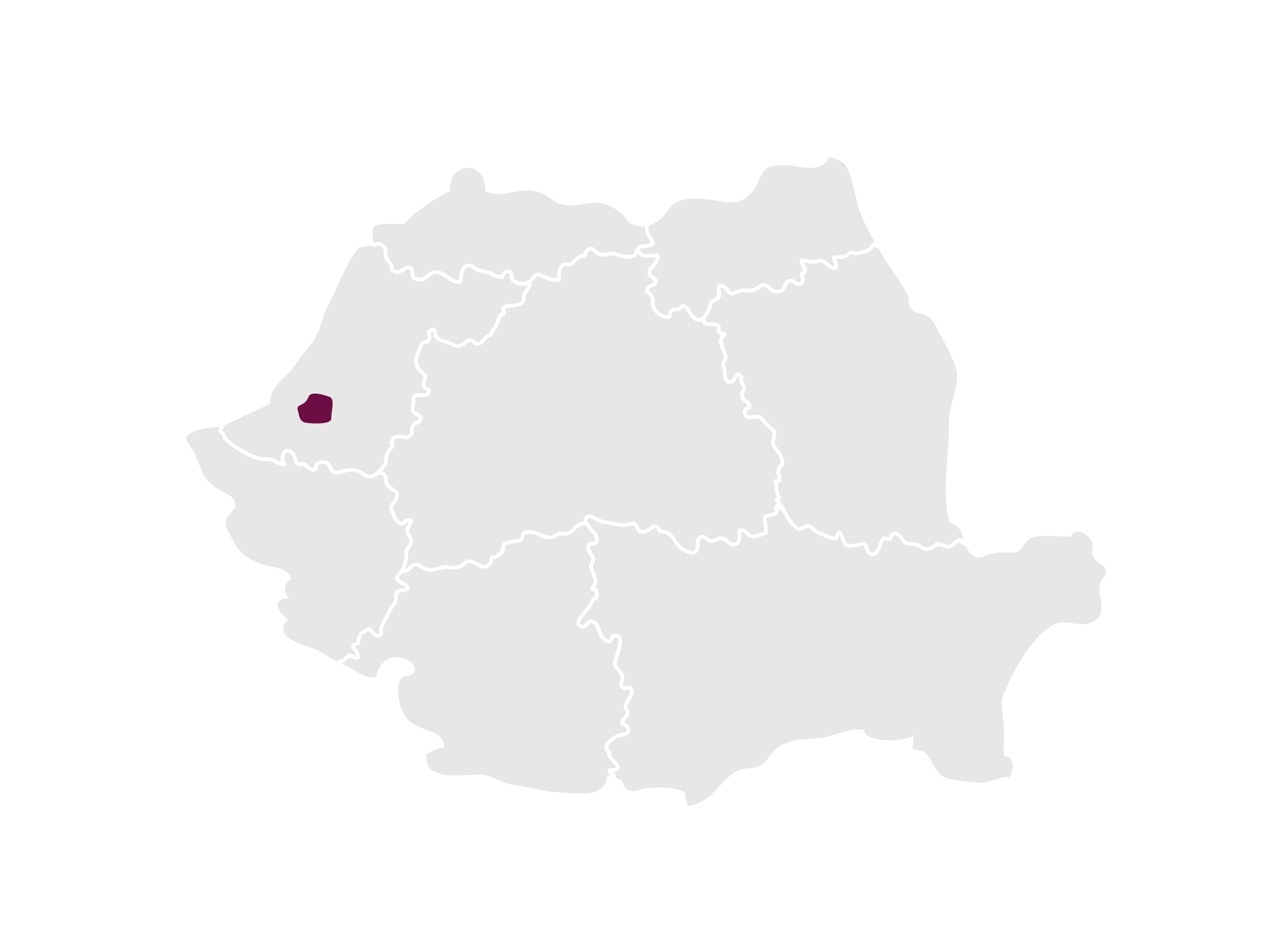 Romania_regions_Miniş